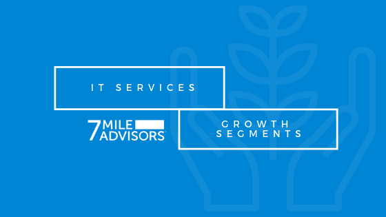 IT Services Growth Segments